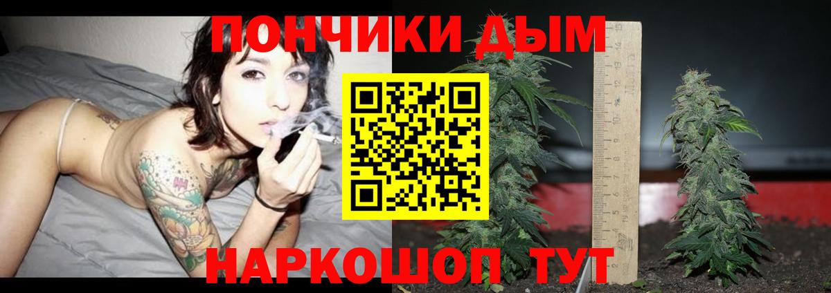 Бошки марихуана тримм  Вход с VPN  МАРИХУАНА ГИДРОПОН  Новоуральск  Конопля семена 